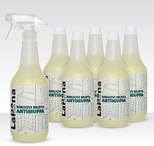 LaPina rapido RIMUOVI MUFFA, ANTIMUFFA professionale, Elimina muffe, funghi, muschi, alghe, licheni e IGIENIZZA (6)