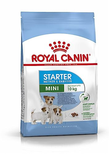 ROYAL CANIN SHN Mini Starter Mother & Babydog Dry Dog Food Poultry 8 kg