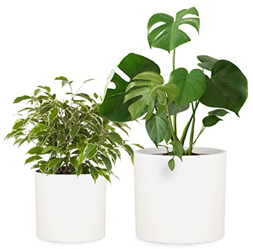 Fox & Fern Übertopf Set L/XL - Blumentöpfe Gross inkl. Wasserabfluss - Blumentopf hoch - Übertöpfe für Zimmerpflanzen - Blumentopf 30cm Durchmesser - Pflanzentöpfe groß - Plant Pot - Blumentopf weiß