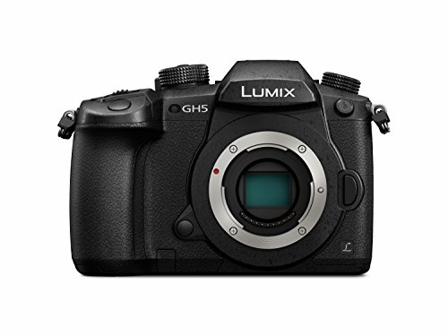 Panasonic Lumix DC-GH5 (Renewed)