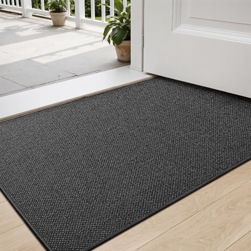 DEXI Dörrmatta 44 x 75 cm, Dörrmatta Inomhus Halkfri Smutsfångare, absorberande Insida Entrématta, Tvättbar Låg Profil Dörrmattor för Entré, Leriga Skor och Tassar, Mörkgrå
