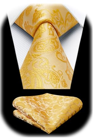 HISDERN hommes cravate floral mouchoir fete de mariage classique cravate & poche set (Or)