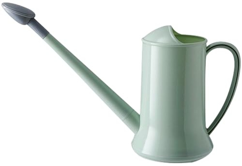 Arrosoir d'intérieur 2 L, 2 modes de pulvérisation, petit arrosoir avec bec long amovible et pomme de douche, arrosoir de jardin en plastique pour plantes d'intérieur et d'extérieur, fleur bonsaï, arr