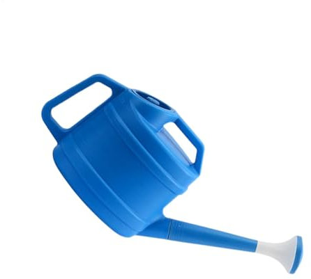 Annaffiatoio antracite da 10 litri per casa e giardino - realizzato in plastica robusta - lattina da versare da giardino con doccia rimovibile - Per una facile irrigazione di fiori, piante d'appartame