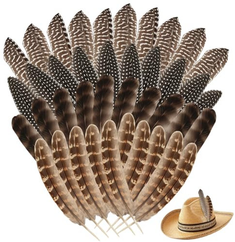 HDHGXUJRD 40 Stück Truthahnfedern, 5,9-7,87 in Federn zum Basteln Fasanenfedern für Kunsthandwerk, 3 Stil Gemischt Bastelfedern für Traumfänger Karneval Kostüm Feder Maske Hochzeit Party Deko