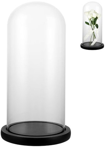 SHUESS Cloche en verre avec fond en bois noir - 26 cm de haut - Décoration - Cloche en verre transparent - Pour lumière, décoration, accessoire d'intérieur