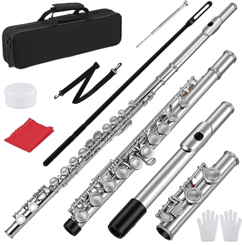 Closed Hole 16 Keys Flute, Flute for Beginner, Closed Hole Flute Instrument with Case, Stand, Gloves, Cleaning Kit & Tuning Rod | Silver/Nickel Student Flute for Kids & Adults, Complete Starter Set