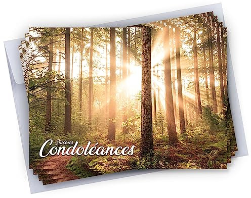 Cadeau Parfait 6 cartes Condoléances + 6 Enveloppes autocollantes • Visuel Forêt, Soleil • Format 10x15 cm