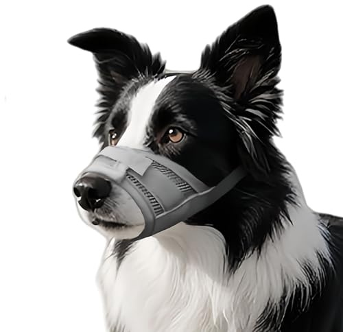 Dog Muzzle Breathable Mesh Adjustable Loop Mesh Anti Bark for Stop Barking Biting Scavenging and Chewing for Longer Nosed Dogs Soft Allows to Pant Grey L