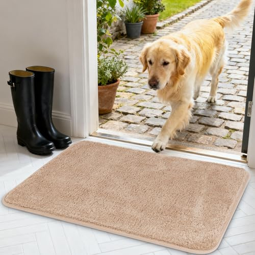 AUAUY Tapis d'Entrée Intérieur, Tapis de Porte Paillasson 60 x 90 cm Beige