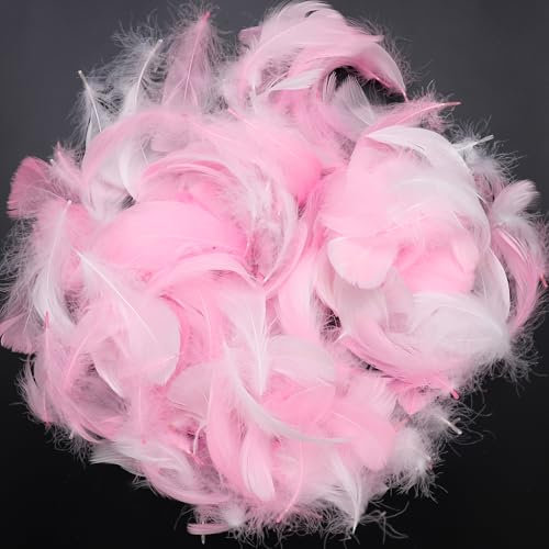 ENLACE Federn zum Basteln, 200 Stück Feder Deko, Weiß und Rosa Federn Basteln, Natürliche Bastelfedern, Basteln Federn Zubehör für DIY Ohrring, Hochzeit, Traumfänger, Kopfschmucksfedern