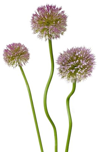 AmoraDec 3Pcs Artificial Allium Bulbs Plastic Snowball Stems, Fake Flower Bulbs for Fall,2025 Spring Outdoor Decoration Wedding Arrangement Table Centerpieces Decoration (Light-Purple)