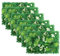 6Pcs Garden Trellis Panels 24×16 inch Artificial Grass Wall Panels Ivy Fence Screening Leaves with Grid Boxwood Panel Garden Screening Backdrop Wall Panelling,Pattern#2