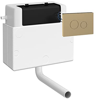 nuie XTY011M03 Ceramics Accessories Pneumatic Dual Flush Universal Access Concealed Cistern and Push Button Plate, 296mm, Brushed Brass