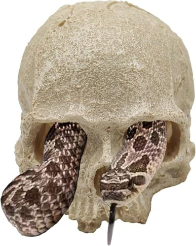 Dnoifne Snake Hideout – Reptile Aquarium Skull Decor | Resin Skeleton Head Fish Hide, Tank Terrarium Accessory for Bearded Dragons, Ball Pythons, Leopard Geckos – 12 × 9 × 9.5 cm