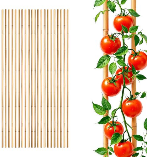 Planteringspinne i bambu för växtväxter 105 cm längd – 20 stycken – bambustav, växtstöd för tomatväxter – träväxtstöd, banbusstång, tonkinstång, klätterstöd för tomater, gurkor, växter