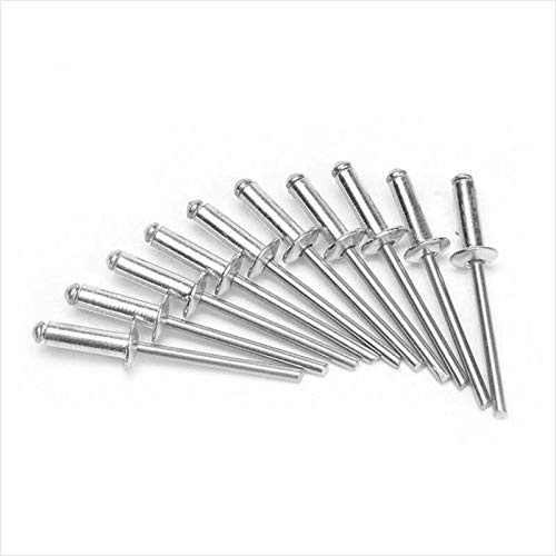 Nitar aluminium popnitar stor fläns, öppen ände kupol huvud blindnitar 2,4/3,2/4/4,8 mm paket med 50 4 x 10 mm SILVER