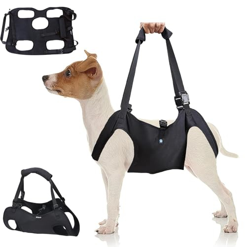 KAJILE Imbracatura di Sollevamento/Trasporto per Cani,Cinghie di Sostegno e Di riabilitazione Dell'imbracatura per Animali Domestici per Anziani,Disabili,Iesioni Articolari,Artrite,Nero,S