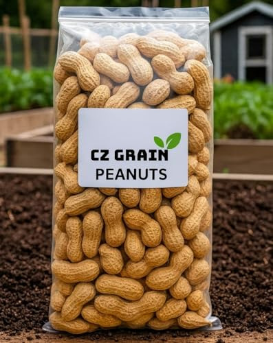 CZ Grain Whole in Shell Raw Peanuts for Birds and Squirrels and All Wildlife - Unsalted, Grown in USA (2.5 Pounds)