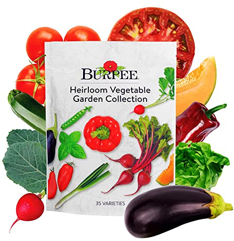 Burpee Heirloom Vegetable Seeds, Variety Pack with 35 Varieties of Plant Seeds, 30,000+ Garden Seeds - Mixed Non-GMO Seeds with Select Varieties of Lettuce, Beans, Tomatoes, Peppers, Squash and More