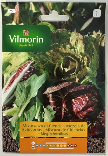 Semi Misticanza di Cicorie S1-953 8 Gr, Confezione da 10 bustine.