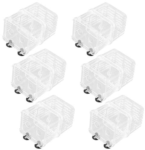 BUGUUYO Incubateur À Œufs De Poissons D'Aquarium 6 Pièces - Séparateur D'Alevins pour Guppys - Isolement De Petits Poissons - Aquarium Transparent