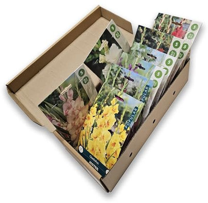 Nojus - Collection de bulbes de glaïeuls - Ensemble de bulbes de fleurs vivaces - Mélange de qualité supérieure pour des fleurs d'été éclatantes - Bulbes de fleurs de jardin biologiques