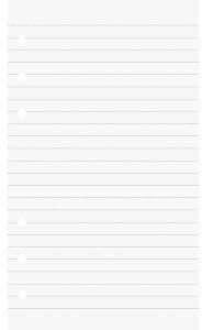 Brunnen 10 x Ringbucheinlagen 8,8x15,2 liniert 50 Blatt