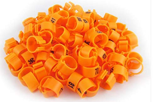 freen-p 100pcs/lot Color Numbered Birds Duck Chicken Leg Bands 12mm Chicken Rings