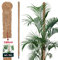 KOTARBAU® Moosstab für Monstera Kokos Natural ⌀ 3,2 x 180 cm Pflanzenstab Rankhilfe für Monstera Pflanzen Kokosstab Pflanzstab Rankstab Moss Pole Monstera Rankhilfe Blumenstab Moss Stab