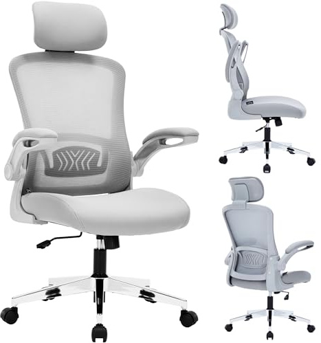 Nyxi Ergonomic Office Chair for Work, Computer Desk & Study, High Back Mesh Chair with Foldable Armrests, Lumbar Support, Adjustable Headrest, Swivel, Metal Base, Comfort (Grey, Model 751)