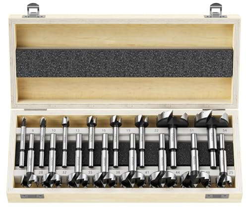 WildFun Forstner Bit Set 16 Pcs, Forstner Bit for Woodworking, Wood Drilling with Round Shank, Drill Accessories, Ø6-54mm with Storage Case