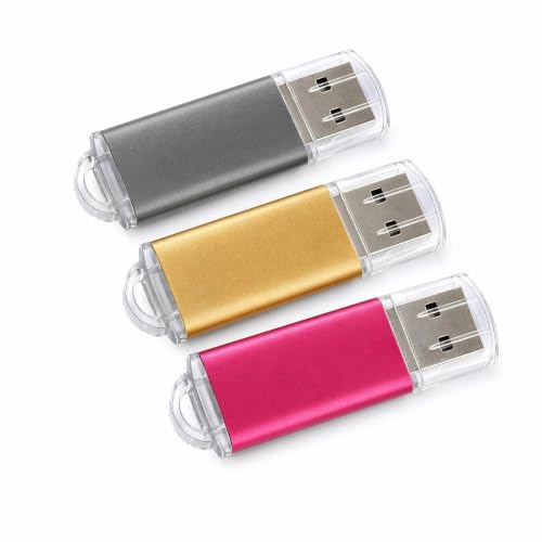 WISEORANGE 3 Pezzi 2GB Chiavetta USB 2.0 Pen Drive 2GB Metallo-3 colori