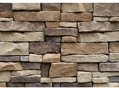 Runa Art Papel tapiz fotográfico muro de piedra efecto 3D 352 x 250 cm Lana Fondo De Pantalla XXL Moderna Decoración De Pared Sala Cuarto Oficina Salón marrón 9455011a
