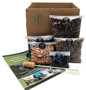 DIY Medium Open and Closed Terrarium Kit (Terracotta Pebbles)