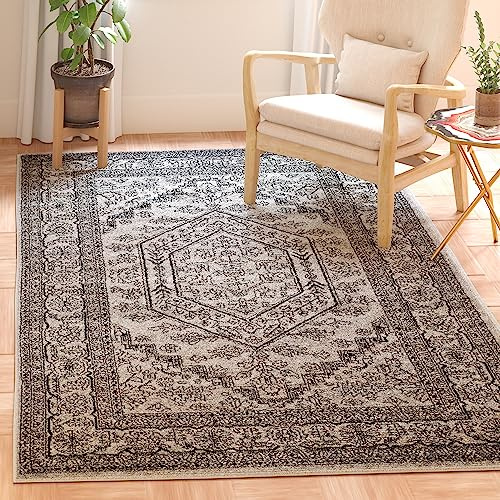 SAFAVIEH Tappeto Tradizionale per Soggiorno, Sala da pranzo, Camera da letto - Adirondack Collection, A Pelo Corto, Argento e Nero, 122 X 183 cm