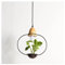 Metal Suspension E27 Suspension Moderne Lampe Plante Verte Pendante Lumière Lustre en fer forgé en bois restaurant café bar fleuriste balcon lustre en pot Suspension intérieure,C