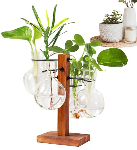 Terrarium pour de bureau, jardinière en verre avec support, Support de jardinière à air hydroponique de bureau, Vase en verre à ampoule moderne, Vase en verre à ampoule de Terrarium avec support en bo