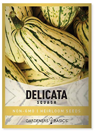 Gardeners Basics, Delicata Squash Seeds for Planting - Winter Squash Heirloom, Non-GMO Vegetable Squash Variety- 3 Grams Seeds Great for Summer Garden