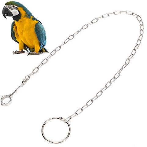 Conure Sele Anklet 54cm Rostfritt Stål Split Fotkedja för Stora Pet Training Anklet för Fåglar Papegojor