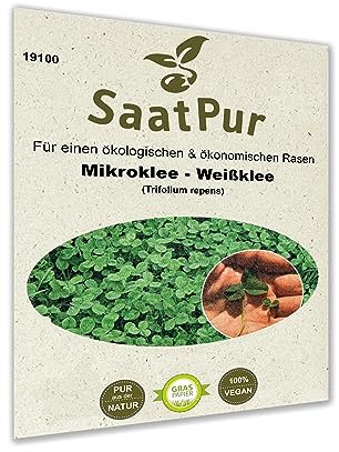 SaatPur Mikroklee Pipolina Microclover Miniklee Zwergklee Microklee Saatgut Rasen Klee - kleinblaettriger Klee Samen - Rasenklee Kleiner Weißklee, 1Kg für ca. 500 qm