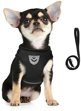 FEimaX Hundegeschirr und Leinen Set für Hunde, Weich Mesh Gepolstert Geschirr für Welpen und Katzen, Reflektierende Verstellbare Atmungsaktive Brustgeschirr für Gehen, Laufen, Training