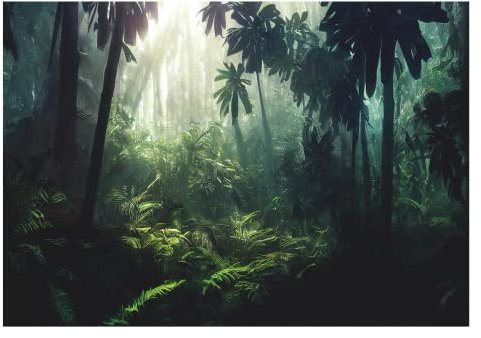 WallArena - Vlies Fototapete Wald Tropischer 3D Effekt Dschungel Pflanzen 368x254 cm - Fototapeten - Tapeten - für Wohnzimmer Schlafzimmer - Vliestapete Wandtapete Tapete 3D Effekt- inkl. Kleister