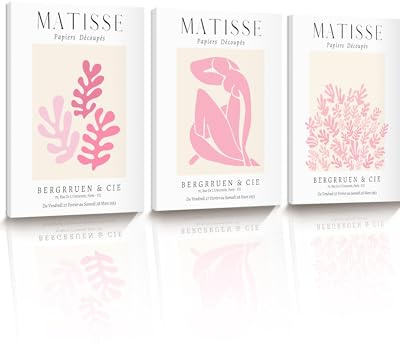 HesenDot 30x40cm Matisse Pink Framed Wall Art Set of 3 | Abstract Botanical Canvas Prints, Minimalist Modern Wall Decor for Bathroom Bedroom Living Room