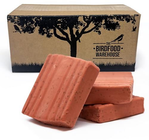 The Birdfood Warehouse Fruit & Berry Premium Suet Block 10 Pack | 100% Natural Wild Garden Bird Food, Suet for Birds