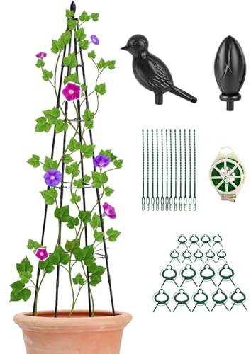 Enrejado para petróleo – Estructura externa para plantas trepadoras – Accesorios de jardinería resistente 160 cm, estructura decorativa para plantas en maceta y plantas trepadoras
