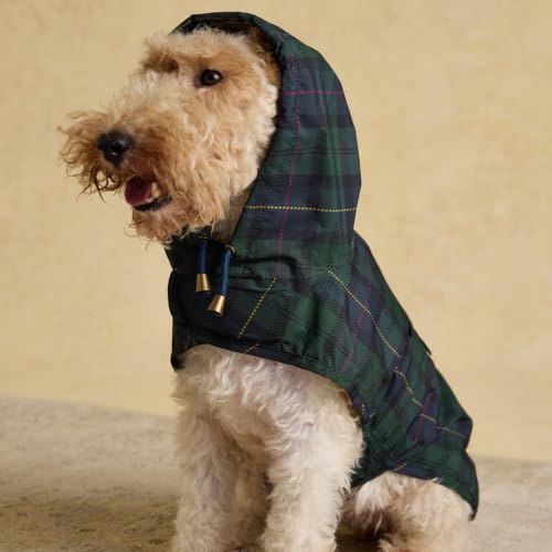 Rosewood x Joules Blackwatch Check Packaway Dog Jacket, Medium – Lightweight Water-Resistant Coat with Hood, Adjustable Velcro Fastenings, Portable for Travel & Walks