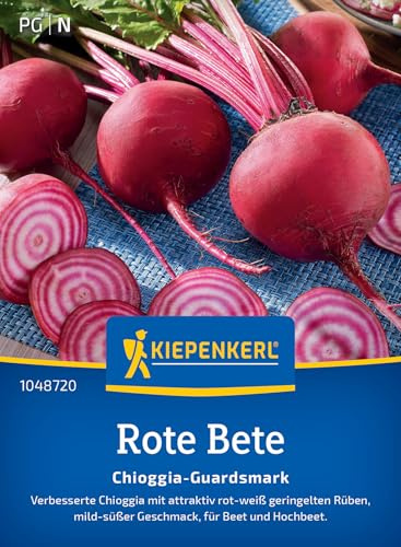 Kiepenkerl Rote Betesamen Chioggia-Guardsmark 1048720 - Attraktive rot-weiß geringelte Rüben, ideal für Beet und Hochbeet, Rote-Beete-Samen, Gemüsesamen für 5-6 lfd. Meter