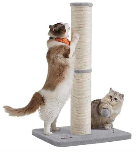 Feandrea Kratzbaum, 85 cm hoch, Kratzsäule, Katzenbaum, Kratzstamm für Kätzchen und Normale ausgewachsene Katzen, Sisalstamm, mit Plüschball und Glocke, Taubengrau PCA040G01