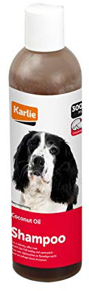 Poissons en Verre Décoration 21 cm + Gravier 480 g + Plante +/-10 cm